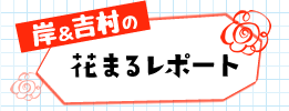 岸の花まるレポート
